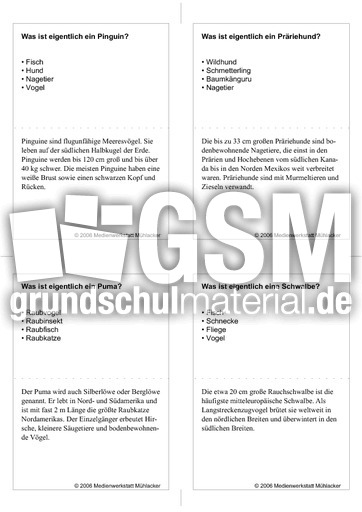 Quiz-Karten-Tiernamen 14.pdf